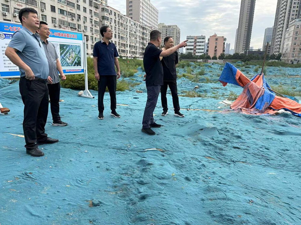 韦德·官方端入口党委委员、副总经理张岩到侯寨新镇区安置区调研项目建设工作